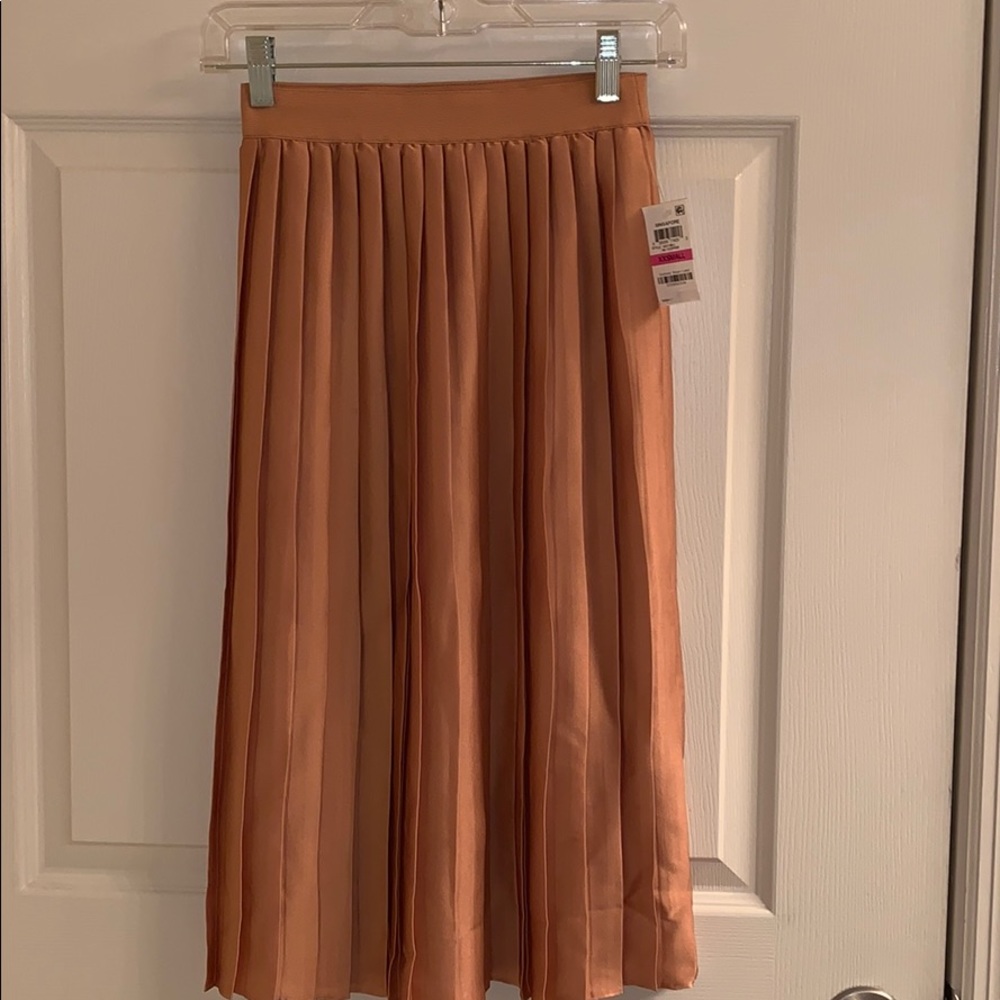Pleated Long Skirt. Bronze Color. New w/ Tags xxs